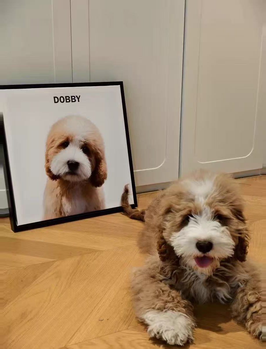 Custom Minimalist Pet Portrait – Personalized Framed Print